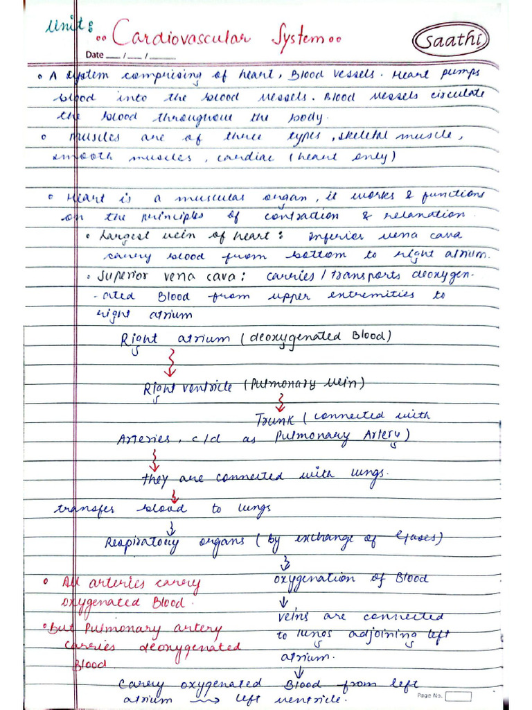 Complete Cardiovascular System - S | PDF