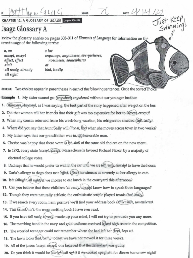 Usage Glossary and Exercises Guide | PDF