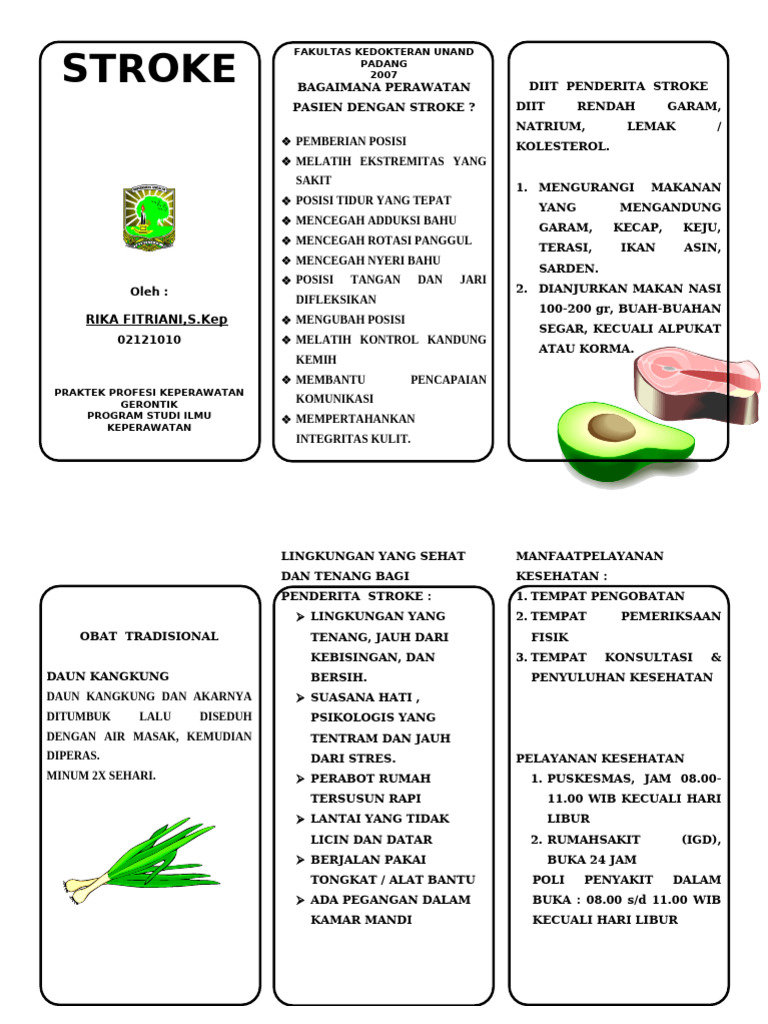 Leflet Strok | PDF