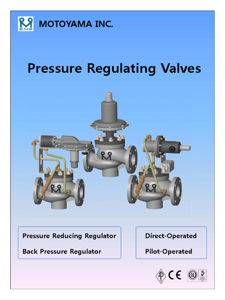 11.PRV Catalog | PDF | Fluid Dynamics | Energy Technology