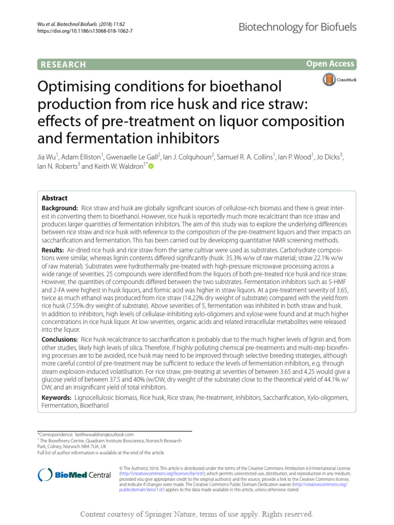 Bioethanol Production from Rice Biomass | PDF | Fermentation