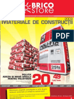 Bricostore - 2009 Constructii