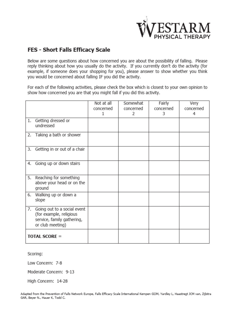Falls Efficacy Scale Questionnaire | PDF