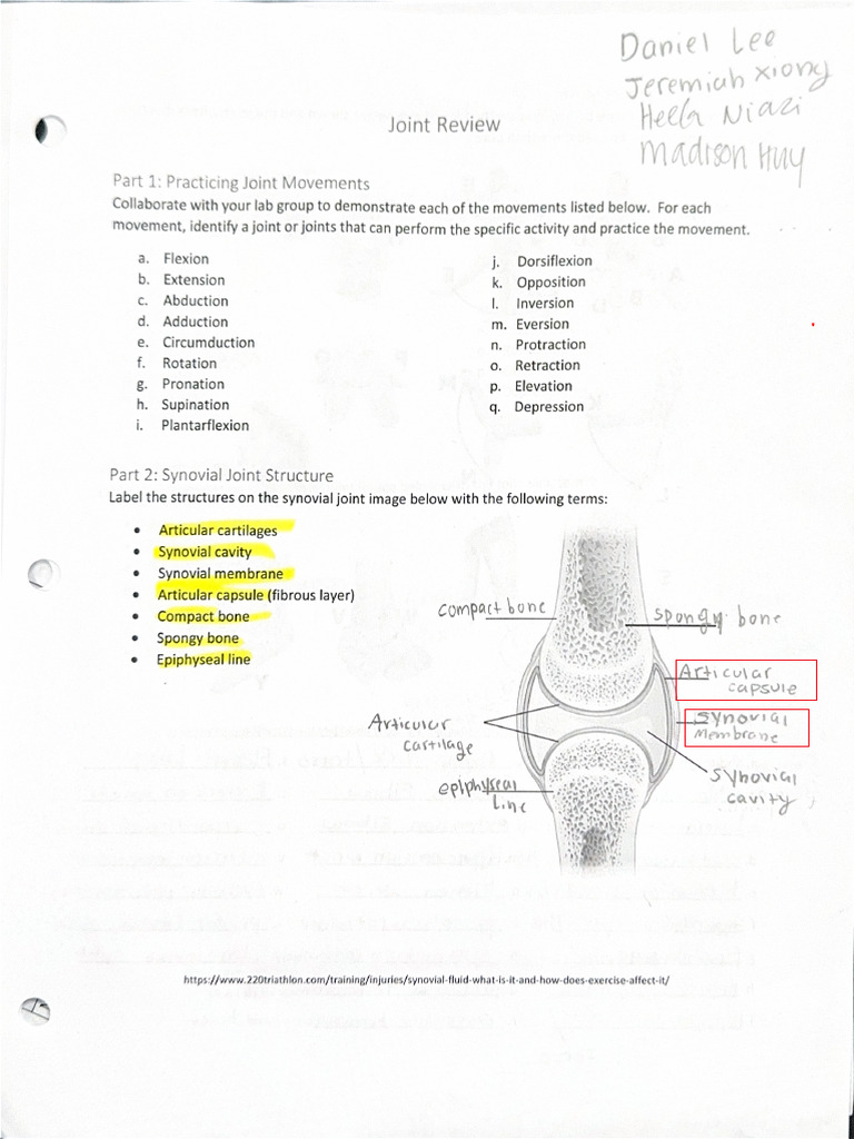 Annotated Joint Review | PDF