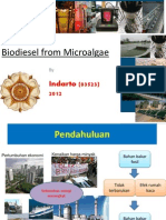 Indarto-Biodiesel From Microalgae