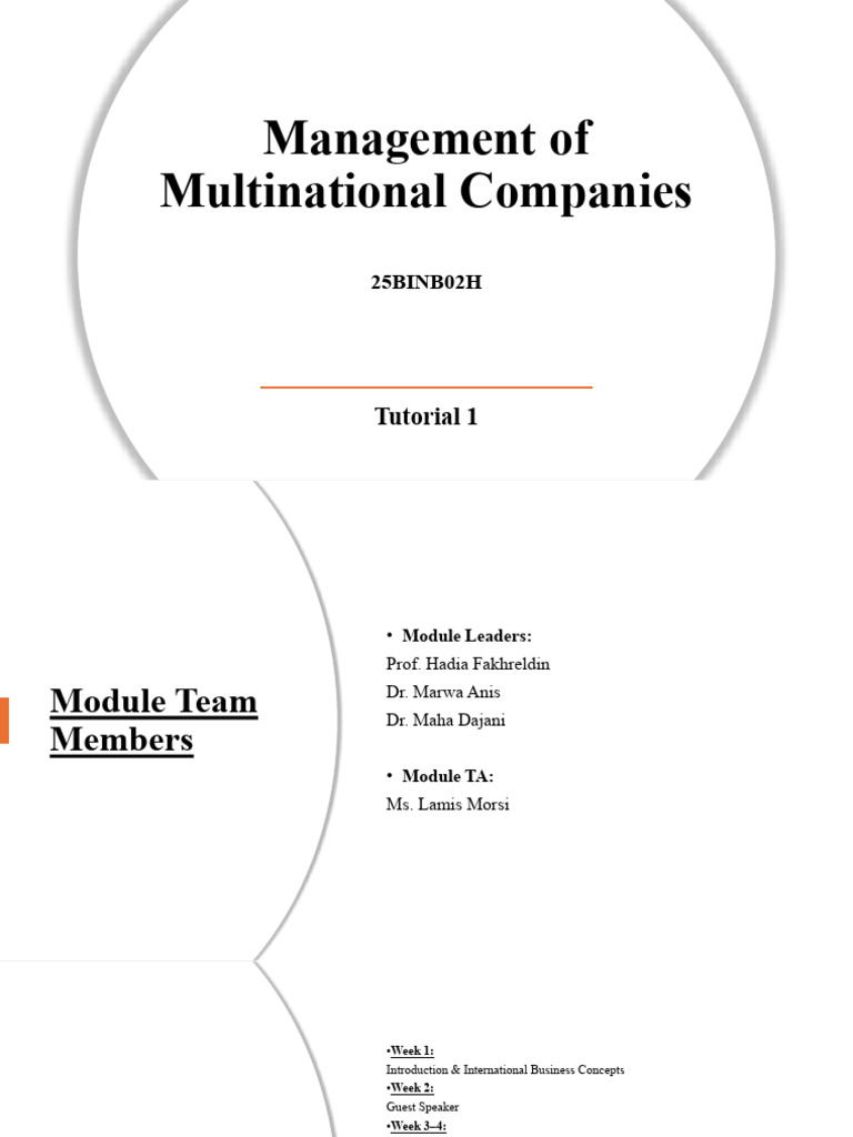 Managing Multinational Companies: Strategies | PDF