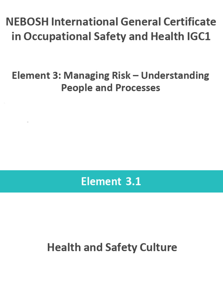 Managing Risk in Workplace Safety | PDF | Risk | Occupational Safety ...