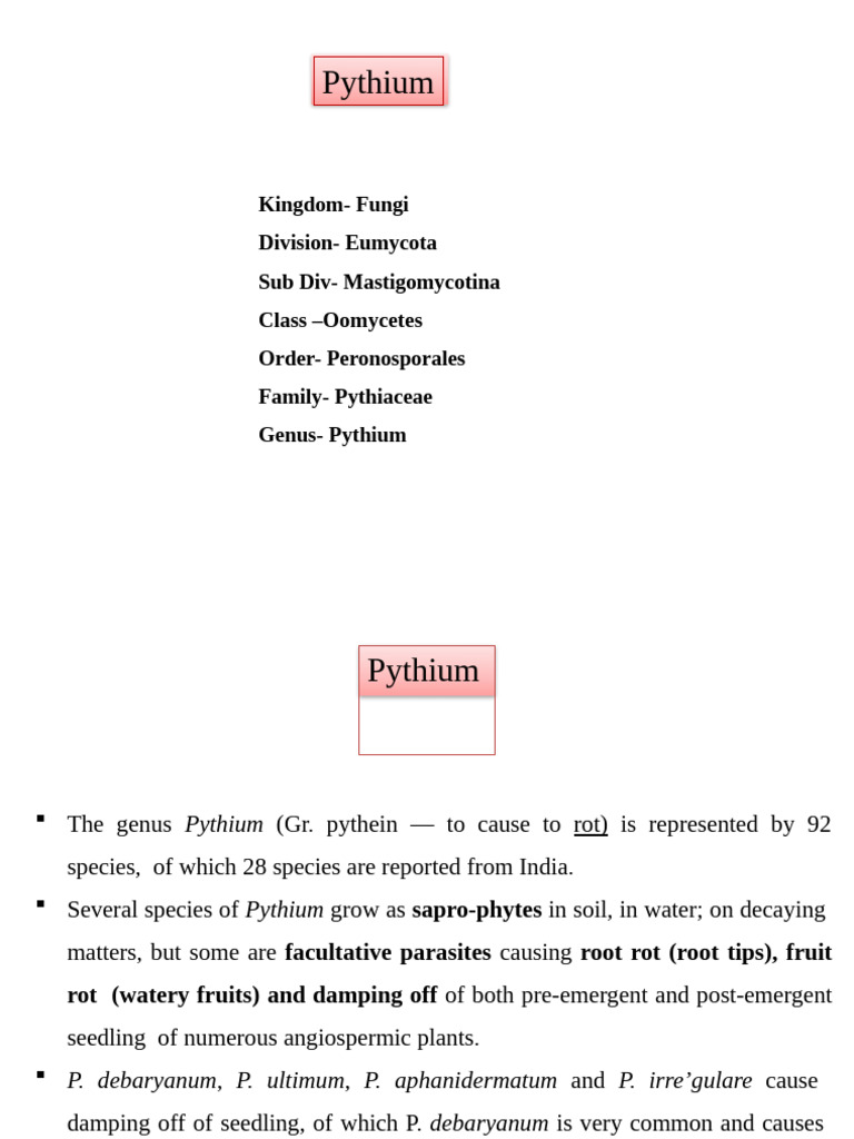 Pythium Genus: Diseases and Reproduction | PDF | Fungus | Biology