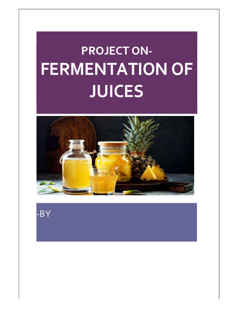 In Fermentation of Juices - 48 Copies | PDF | Fermentation | Lactic Acid