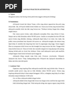 Download Laporan Belalang by I WAYAN MADIYA SN97274721 doc pdf
