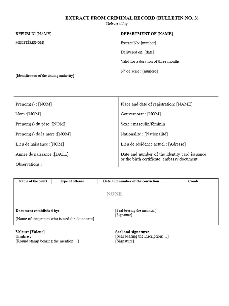 Extract From The Criminal Record | PDF
