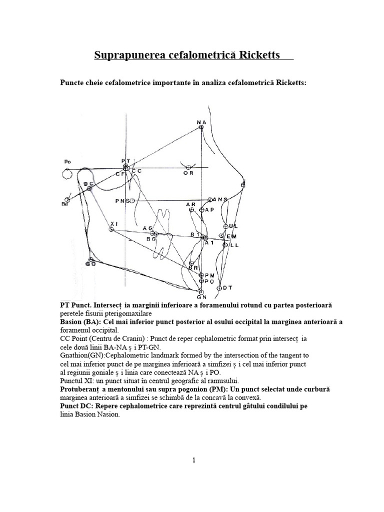 Suprapunerea Cefalometrică Ricketts | PDF