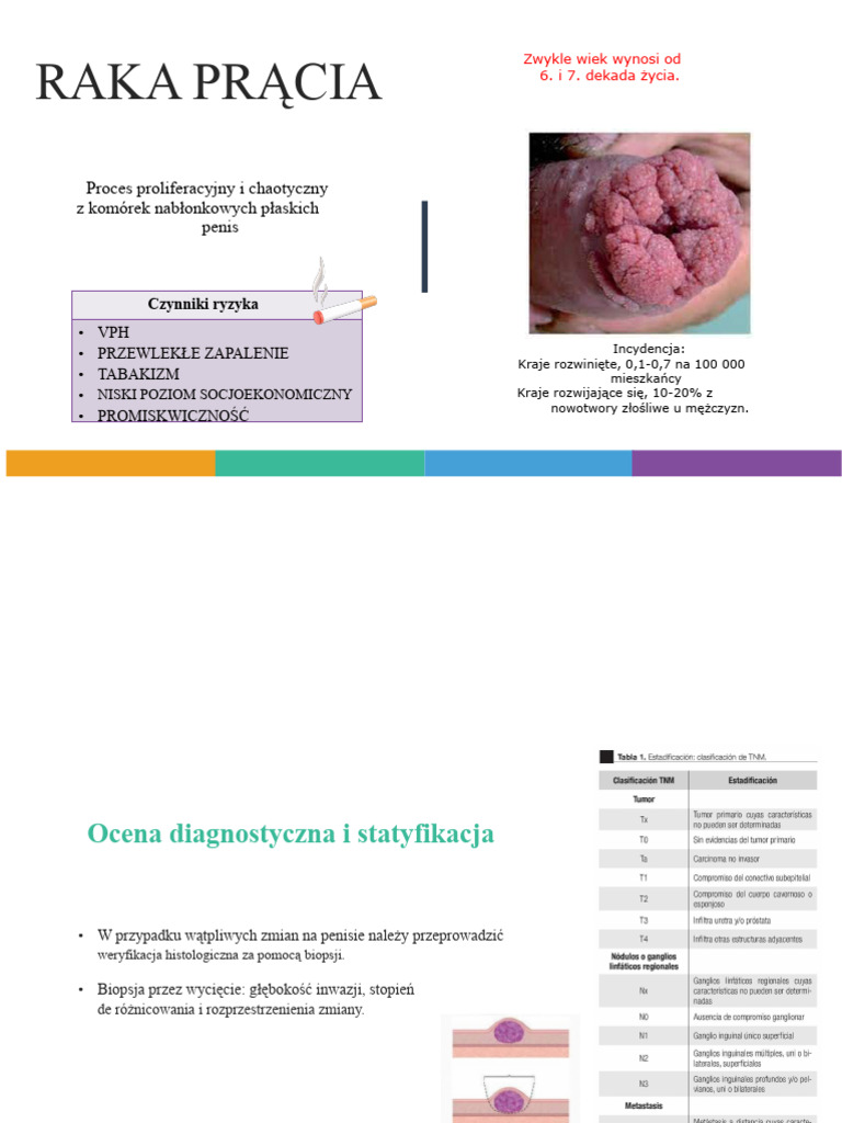 Rak Prącia | PDF