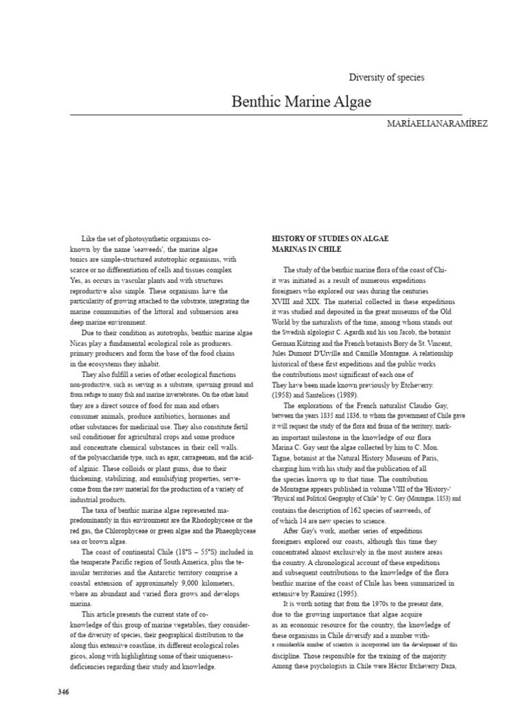 Benthic Marine Algae in Chile: Diversity & Ecology | PDF | Seaweed | Algae