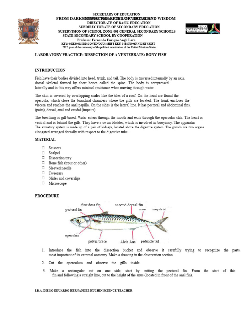 Fish Dissection Laboratory Guide | PDF | Anatomy | Aquatic Vertebrates