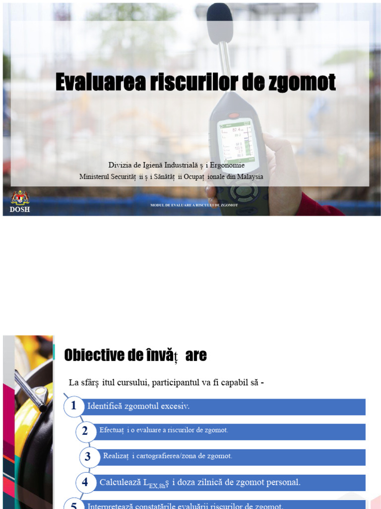 05 Evaluarea Riscului de Zgomot | PDF