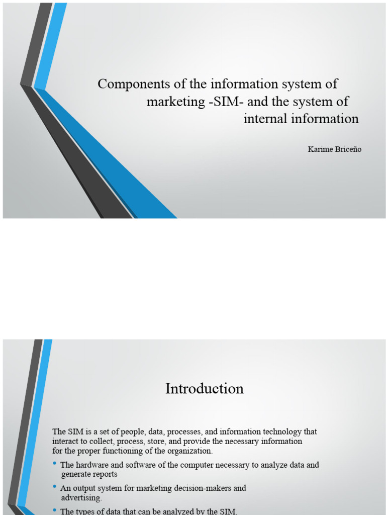 Marketing Information System Components | PDF | System | Databases