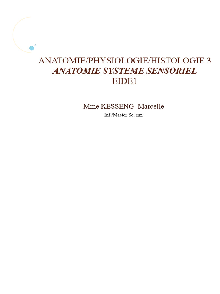 Anatomie et Physiologie du Système Sensoriel | PDF | Œil humain | Langue