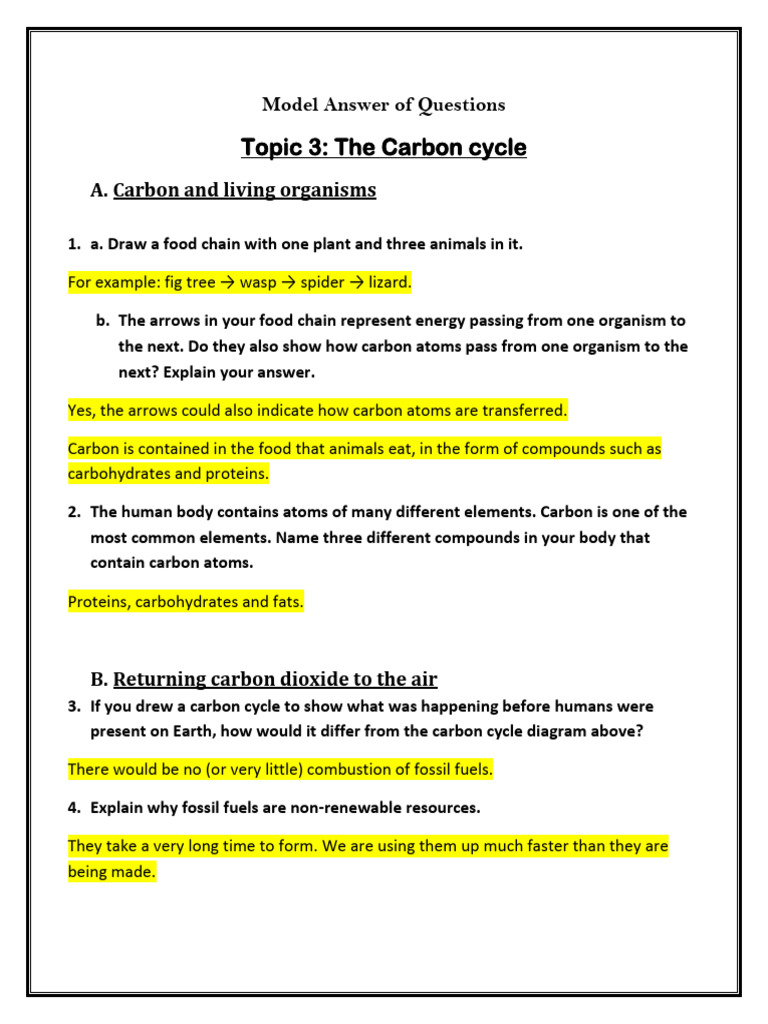 Understanding the Carbon Cycle Basics | PDF