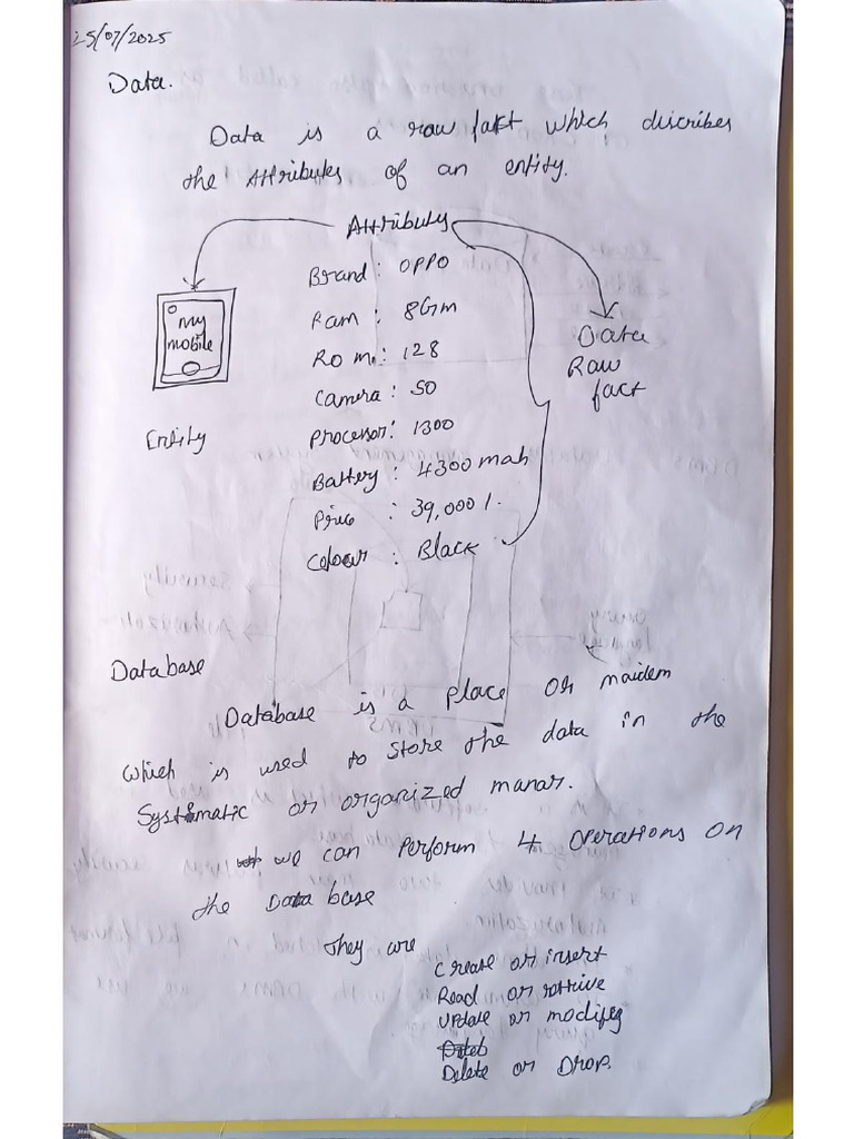 SQL Full Notes | PDF