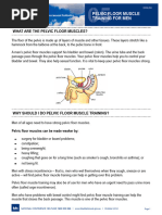 Pelvic Floor Exercises for Men | PDF | Pelvis | Urinary Incontinence