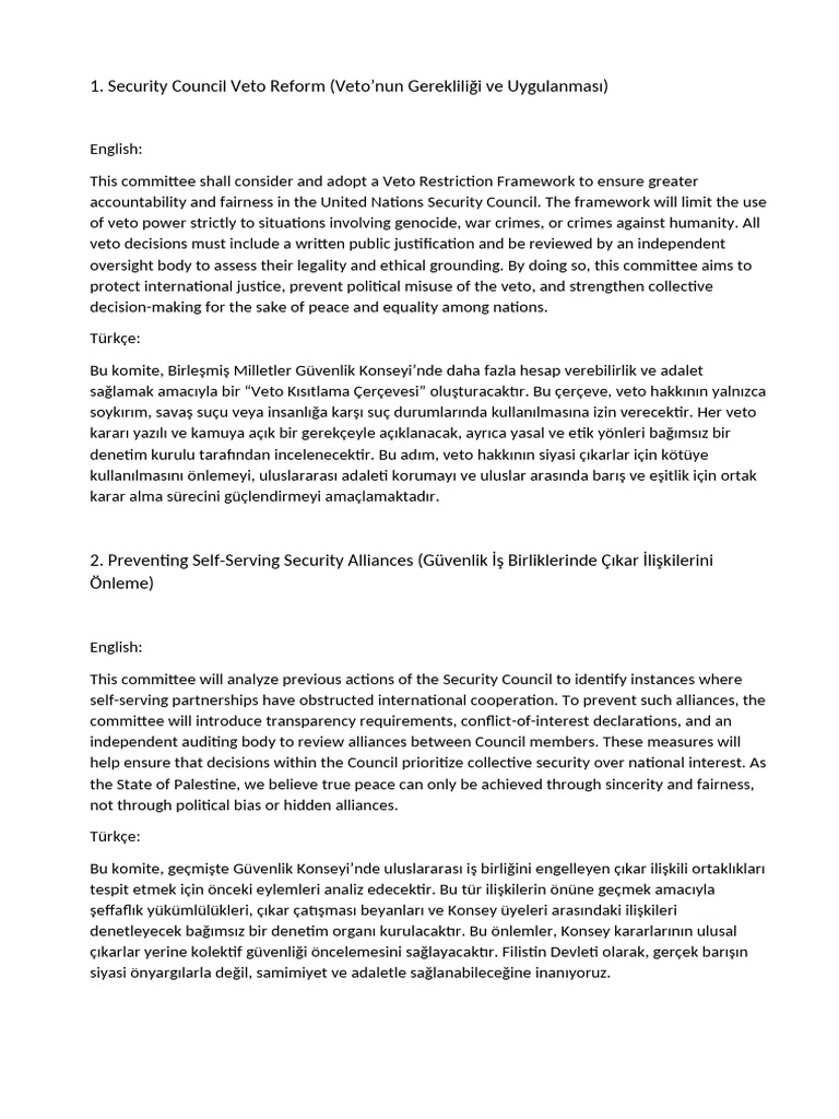 MUN Motions | PDF