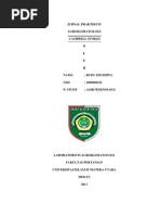 Download Campbell Stokes of Jurnal by Rudy Dtomz SN97281552 doc pdf