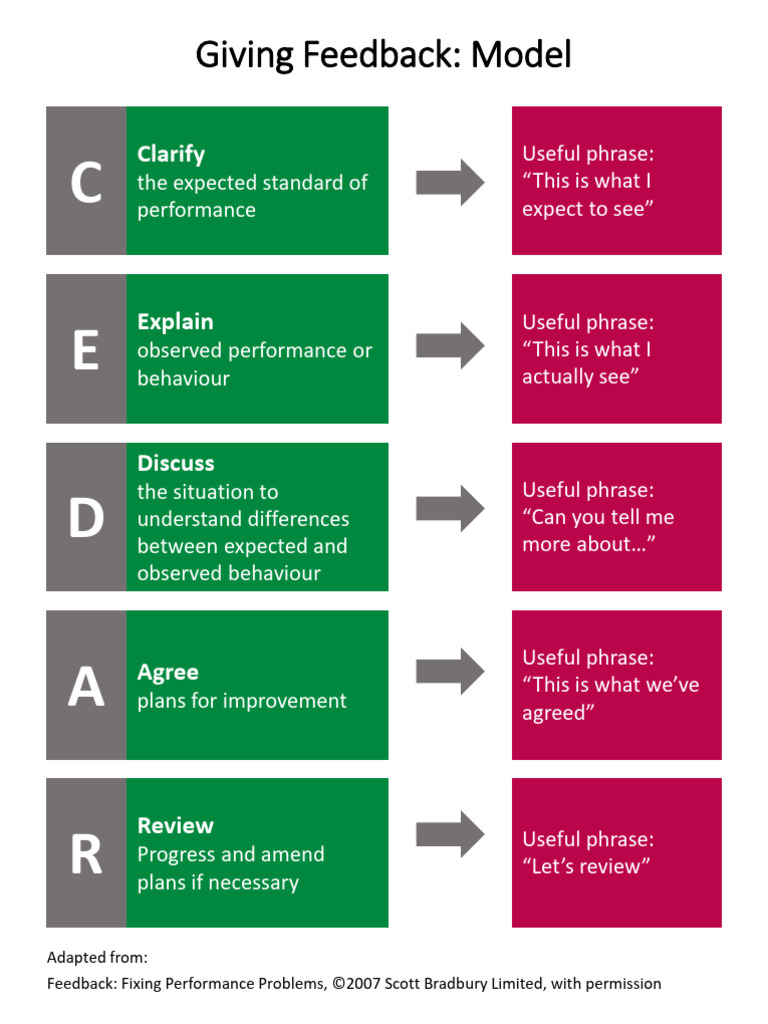 Effective Feedback Model Guide | PDF