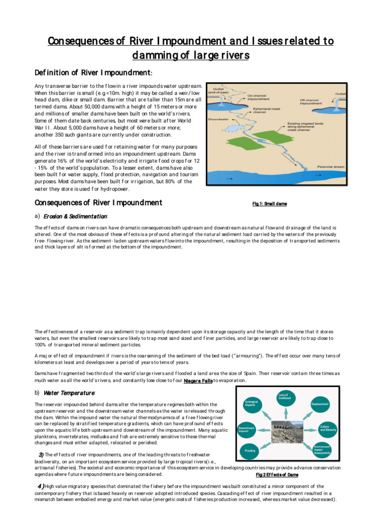 Impacts of River Damming and Ecosystems | PDF