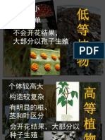 Bio.chp.8 Flowering.plant