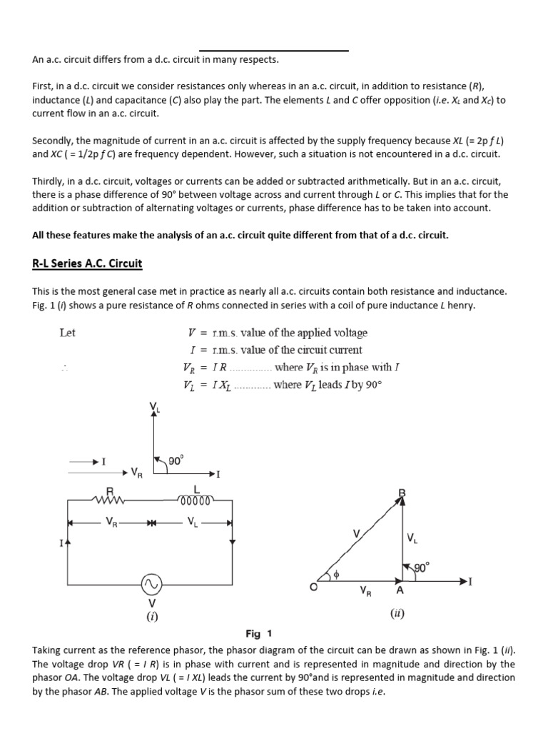 Bee 7 | PDF