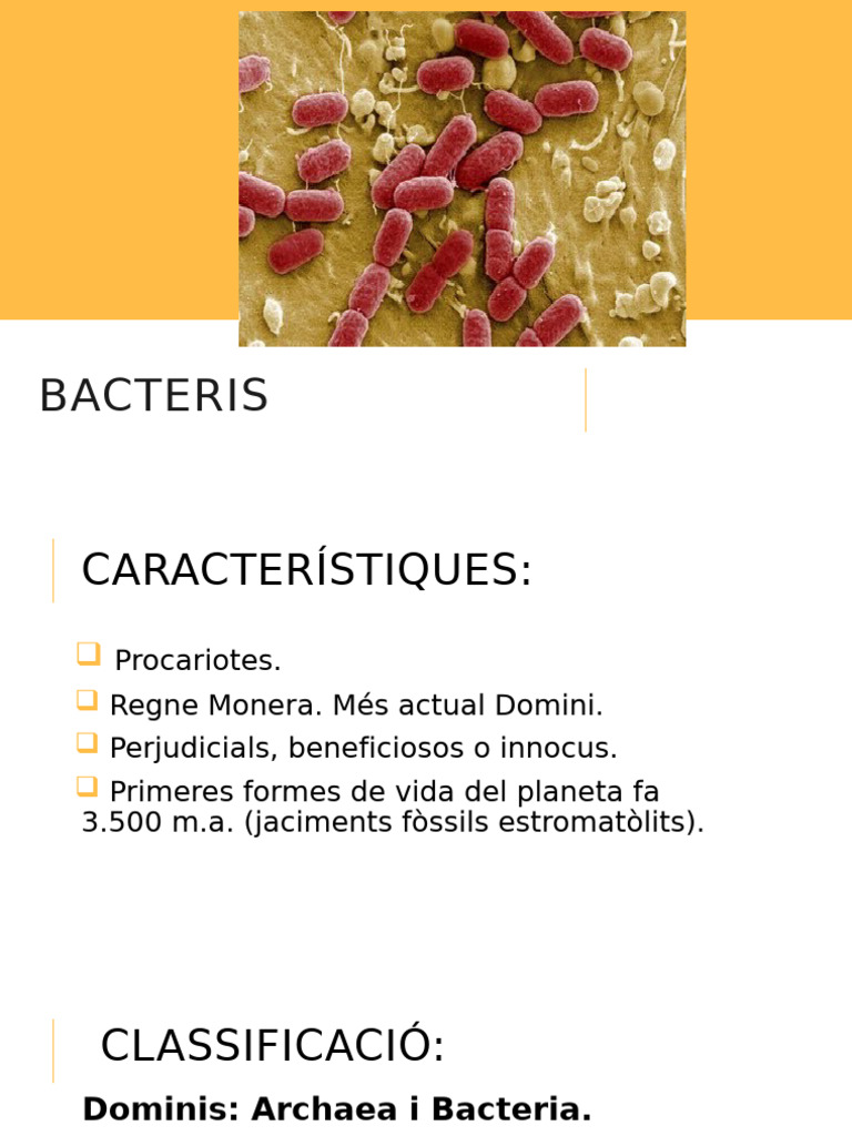 Microbiologia Bacteris | PDF
