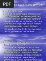Download Hormon Atau Zat Pengatur Tumbuh Yes 1 by Oyonk ThooLee SN97285609 doc pdf