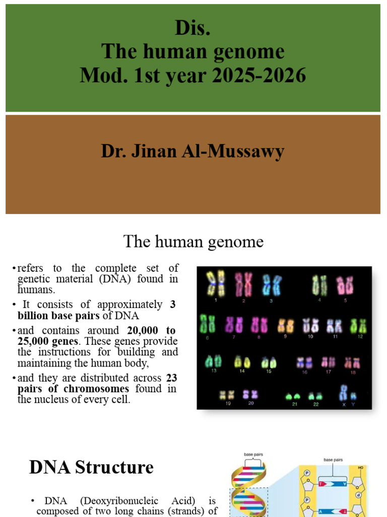 Overview of the Human Genome | PDF | Dna | Gene