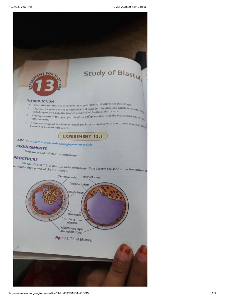 Bio Practical Image 2 | PDF