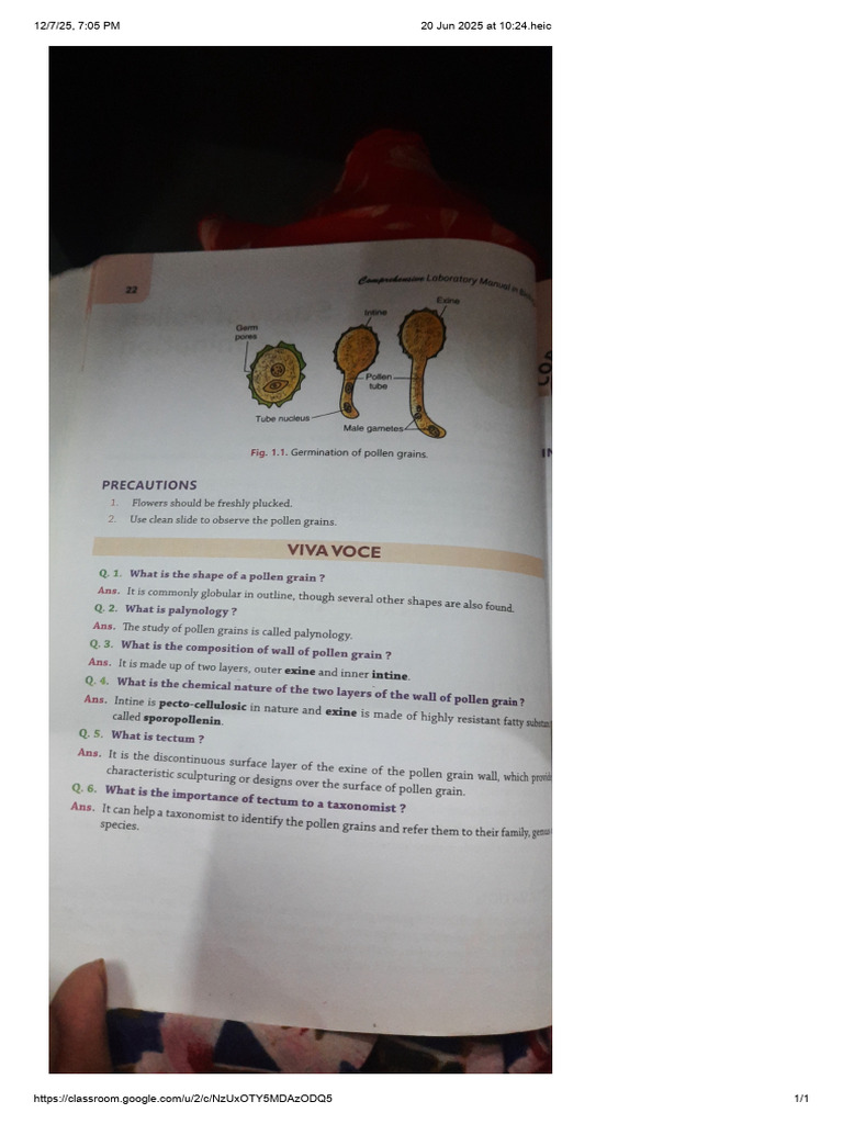 BIO Practical Image 1 | PDF
