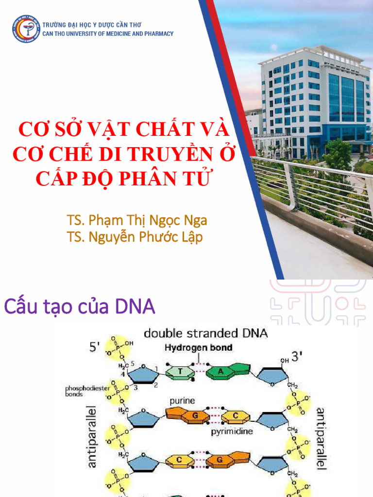 Bai 3 Co So Vat Chat Di Truyen Phan Tu 20251207102811 e | PDF