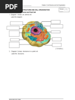 Download WORKSHEET 21 Animal and Plant Cell by Lim Wai Wai SN97288690 doc pdf