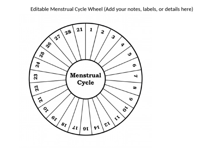 Menstrual Cycle Wheel Editable | PDF