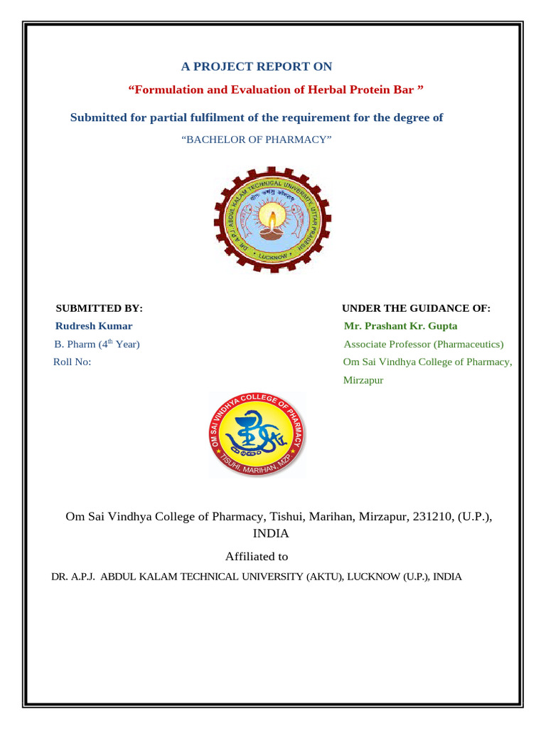 Rudresh Kumar Format of Project Work | PDF