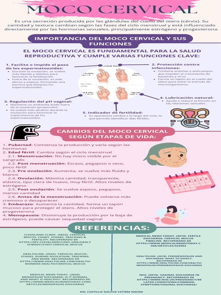 Cambios del moco cervical y fertilidad | PDF | Menstruación ...