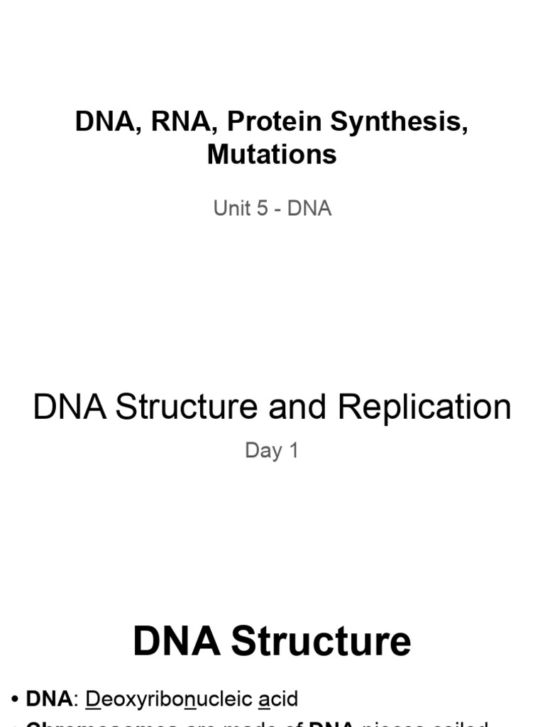 DNA Structure, Replication, and Protein Synthesis | PDF | Dna | Rna