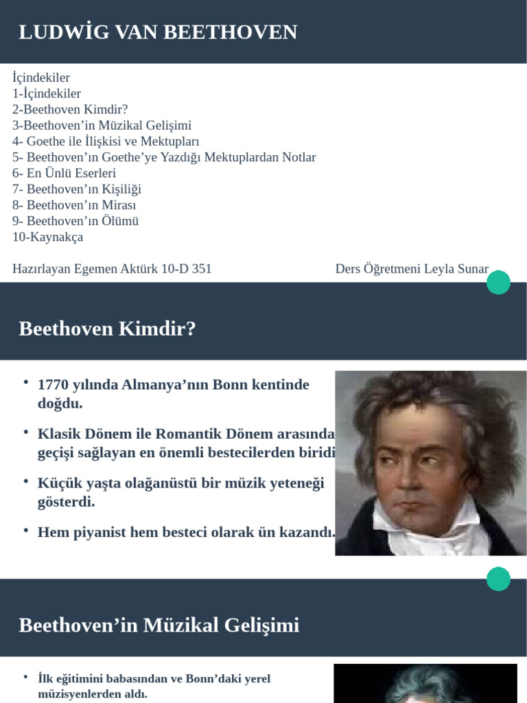 Müzik Sunum | PDF
