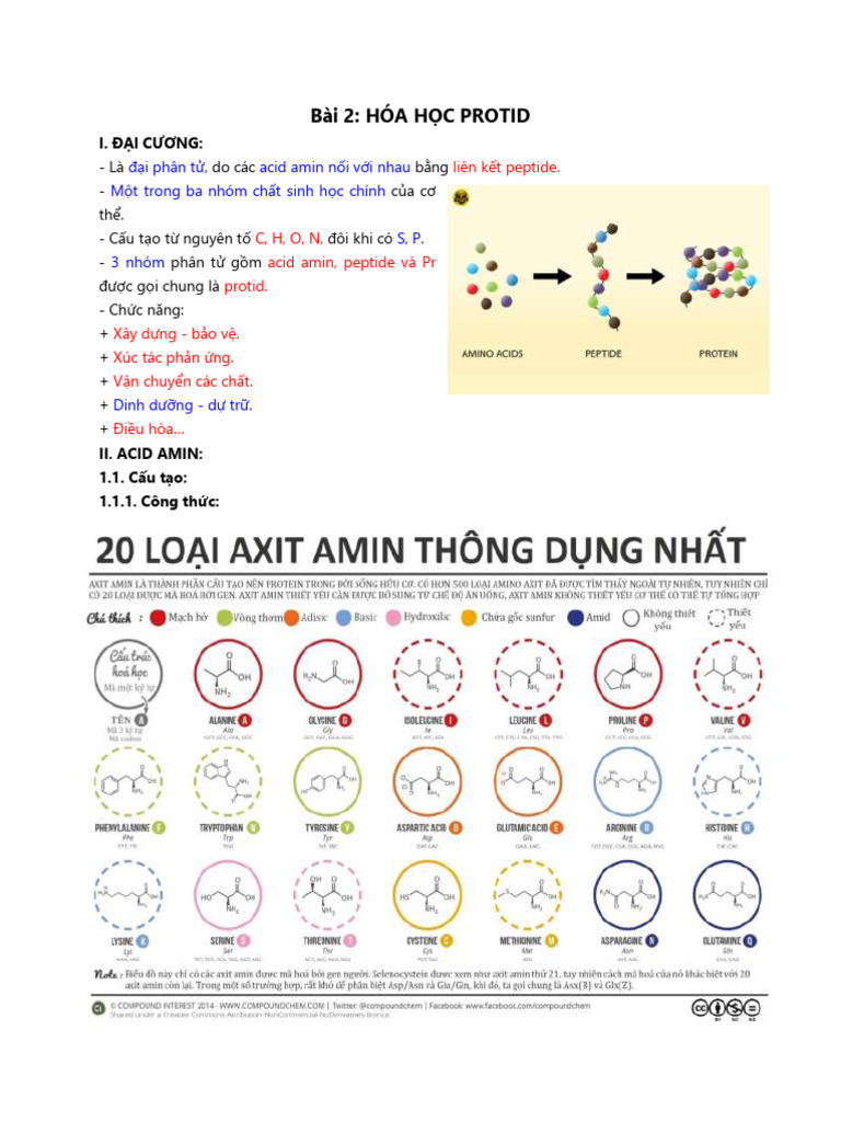 HH Protid | PDF