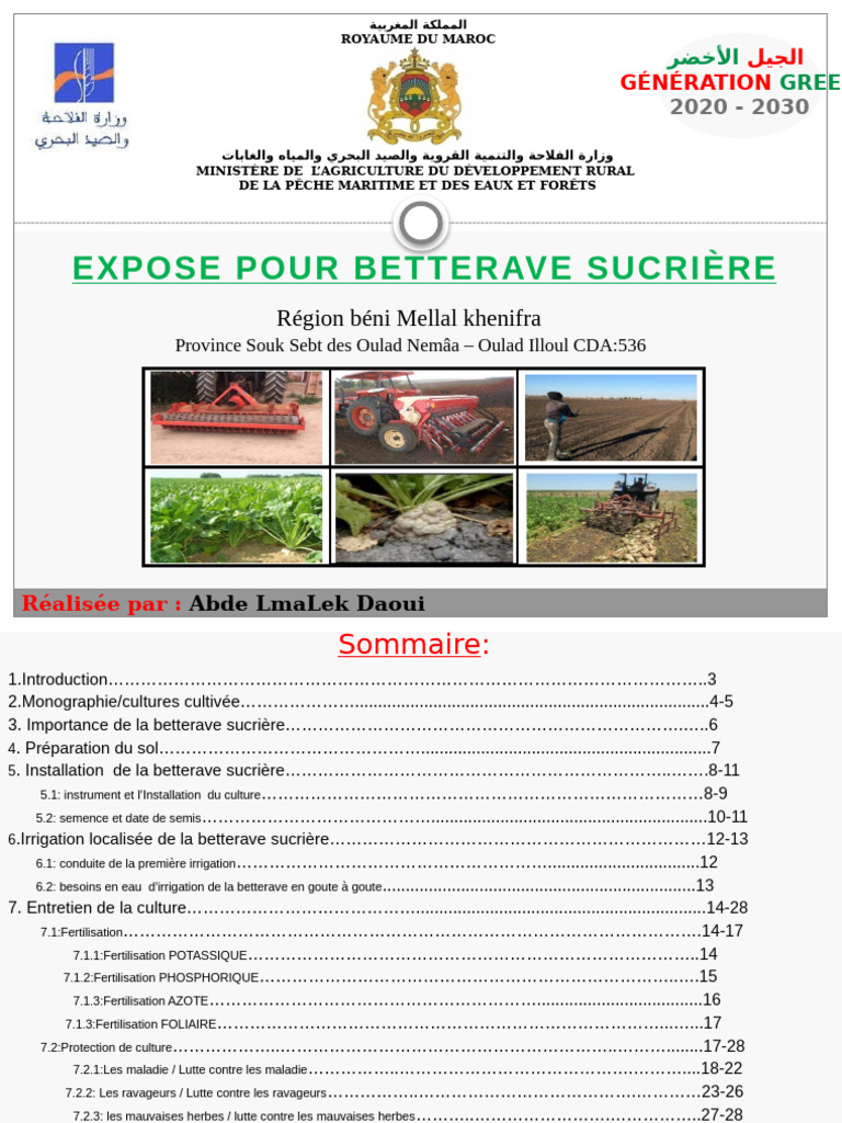 Guide de Culture de la Betterave Sucrière | PDF | Betterave sucrière ...