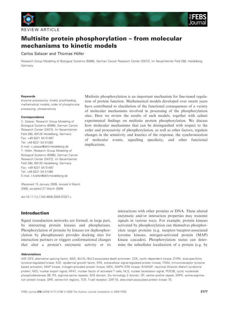 Multisite Protein Phosphorylation Review | PDF | Kinase | Mitogen ...