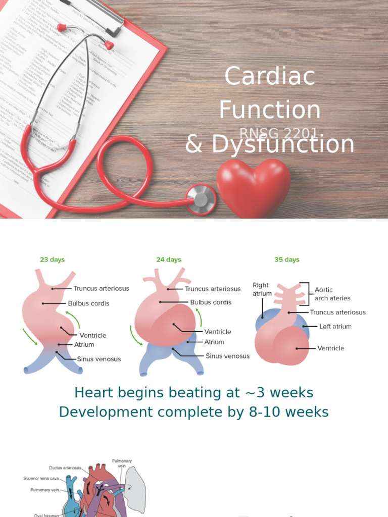 Cardiac Function and Congenital Defects | PDF | Heart Failure | Heart