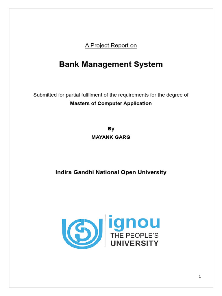 Mayank Project Report | PDF | Unit Testing | Databases