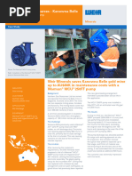 Geho Piston Diaphragm Pumps Brochure | PDF | Pump | Piston