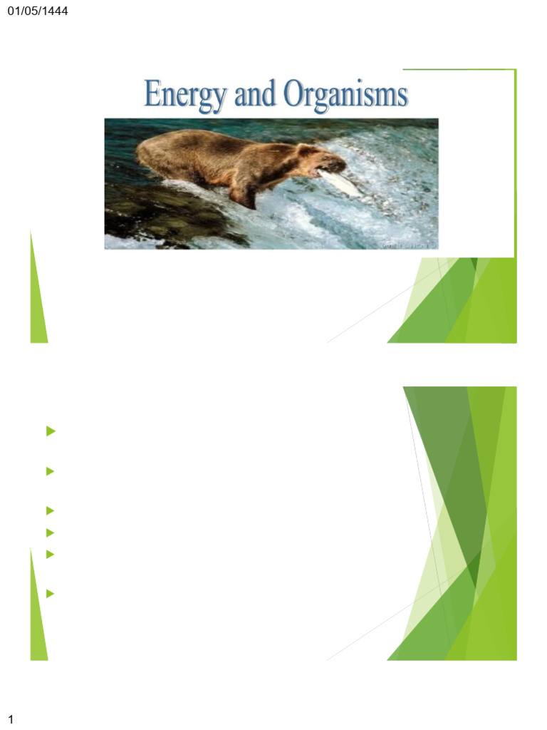 Cellular Metabolism and Energy Dynamics | PDF | Enzyme | Metabolism